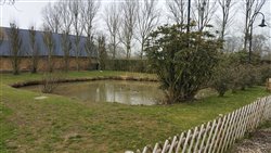 La mare - Saint-Quentin-au-Bosc - Petit-Caux